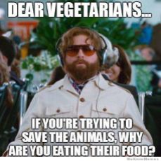 dear-vegetarians-meme