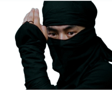 what comes up when you Google 'Ninja'